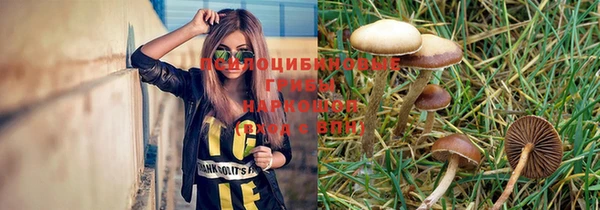 mdpv Осинники